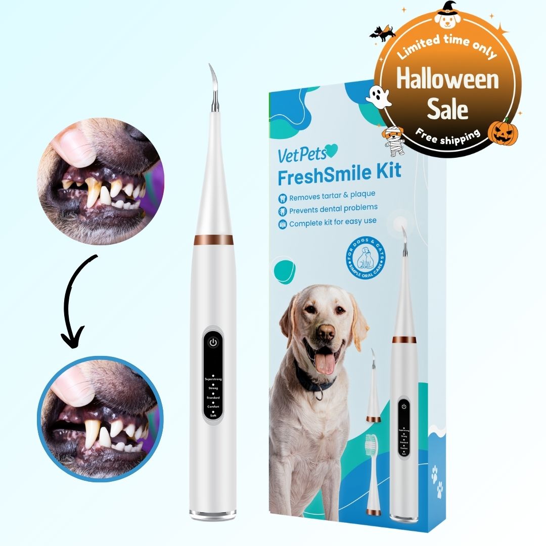 FreshSmile 3 in 1 Kit - Safe Tartar Remover