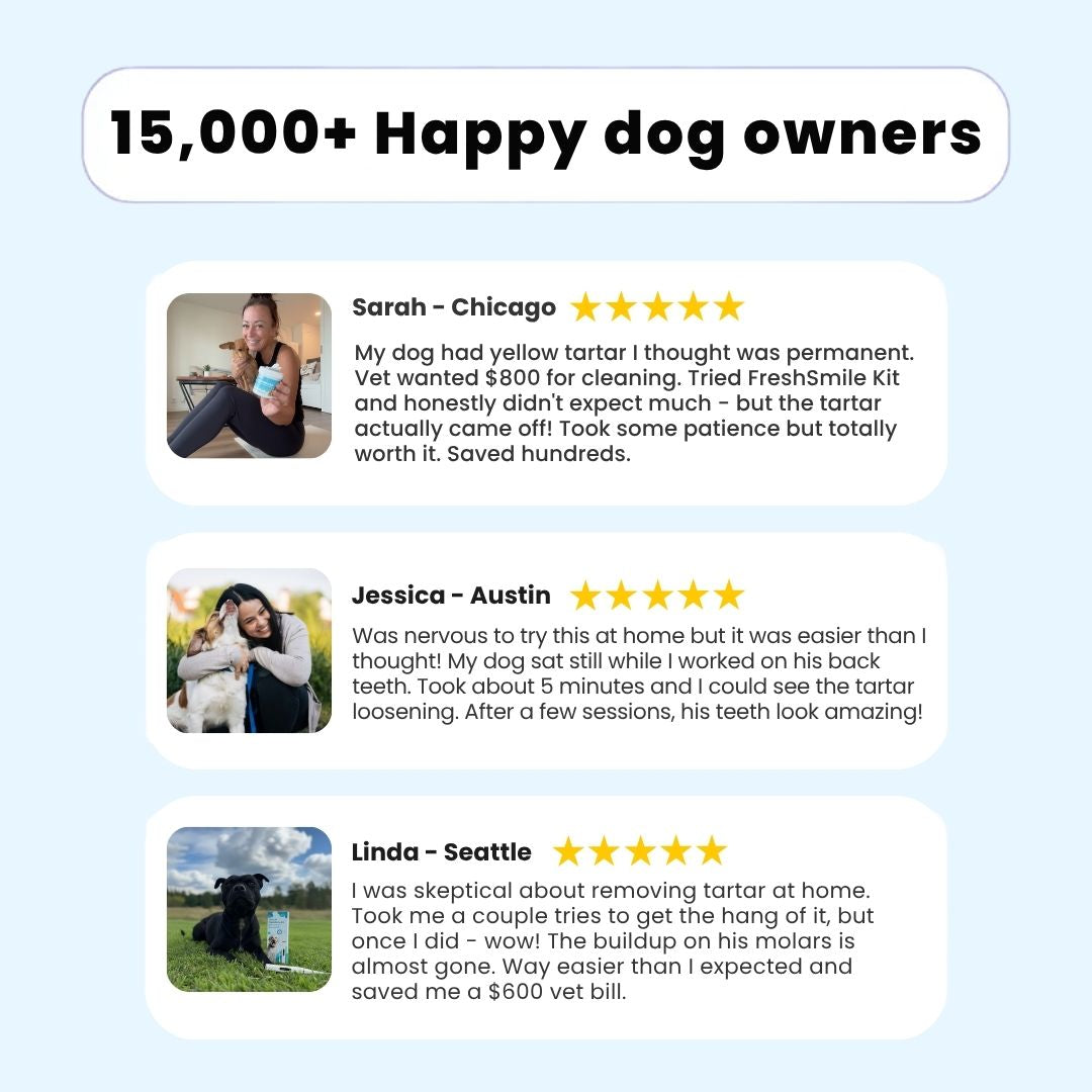 FreshSmile 3 in 1 Kit - Safe Tartar Remover