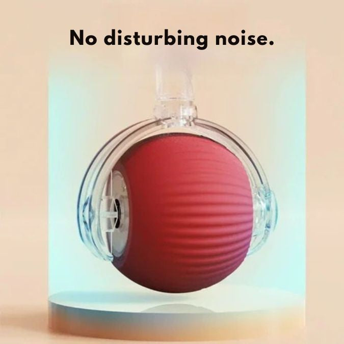 JaktBollen - Timmar av Underhållning & Motion