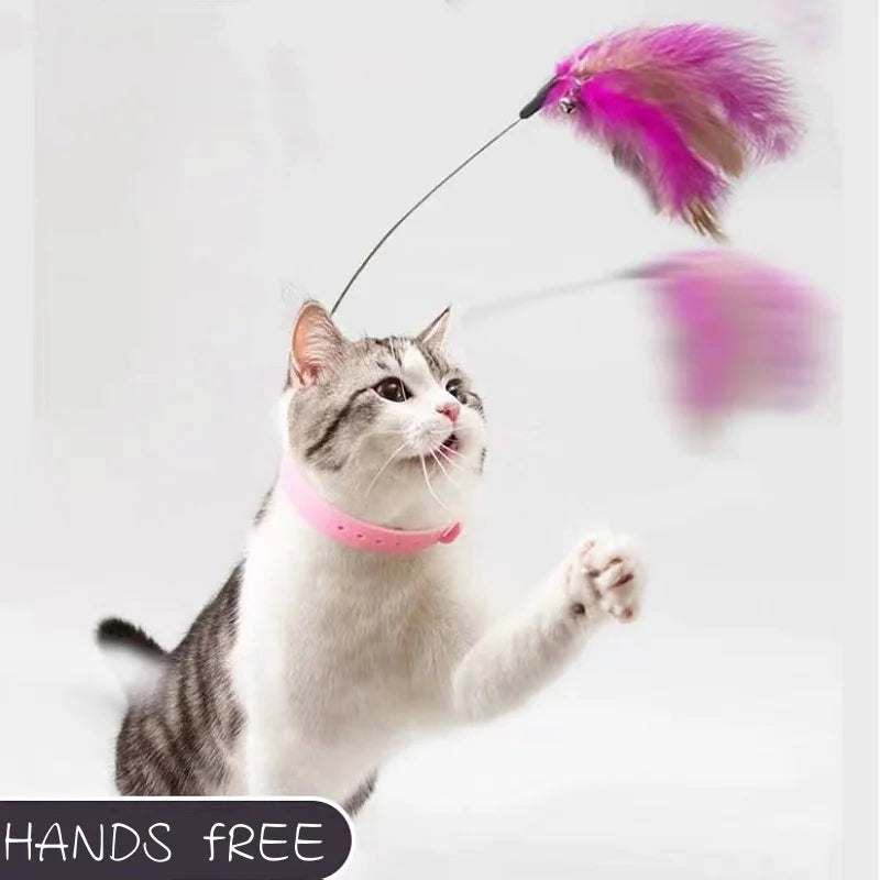 Interactive Feather Toy