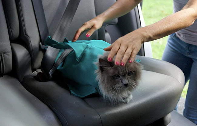 Cat Travel Bag - Comfortable, Safe, and Calming