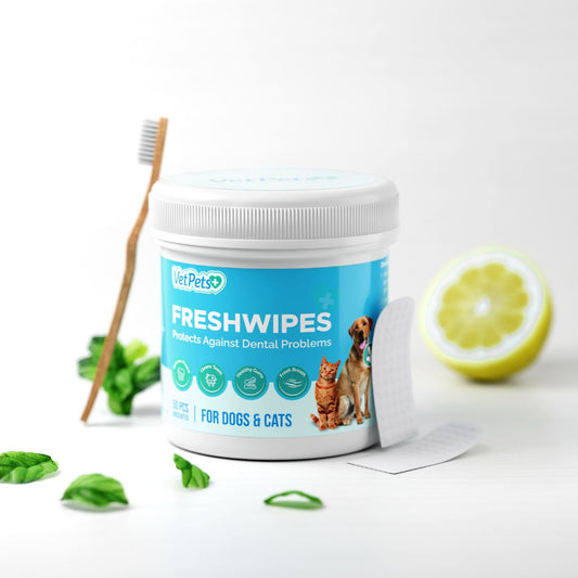 FreshWipes Kit – Protects Against Dental Diseases