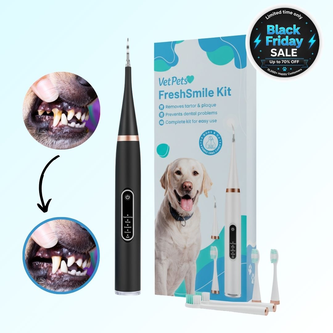 FreshSmile 3 in 1 Kit - Safe Tartar Remover