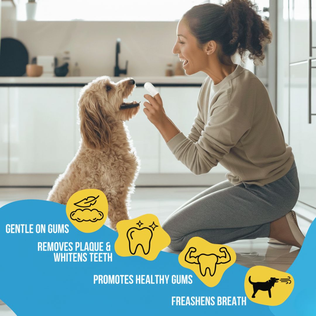 FreshWipes Kit – Protects Against Dental Diseases