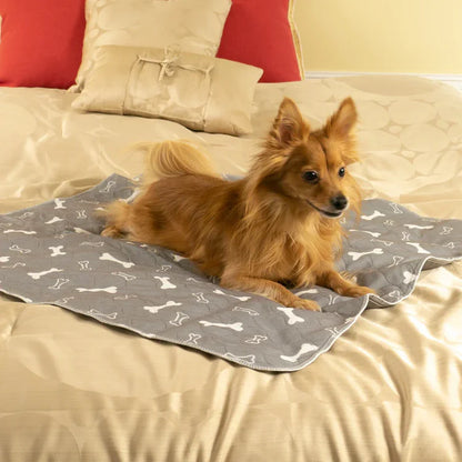 DryPad - Speed Up House Training