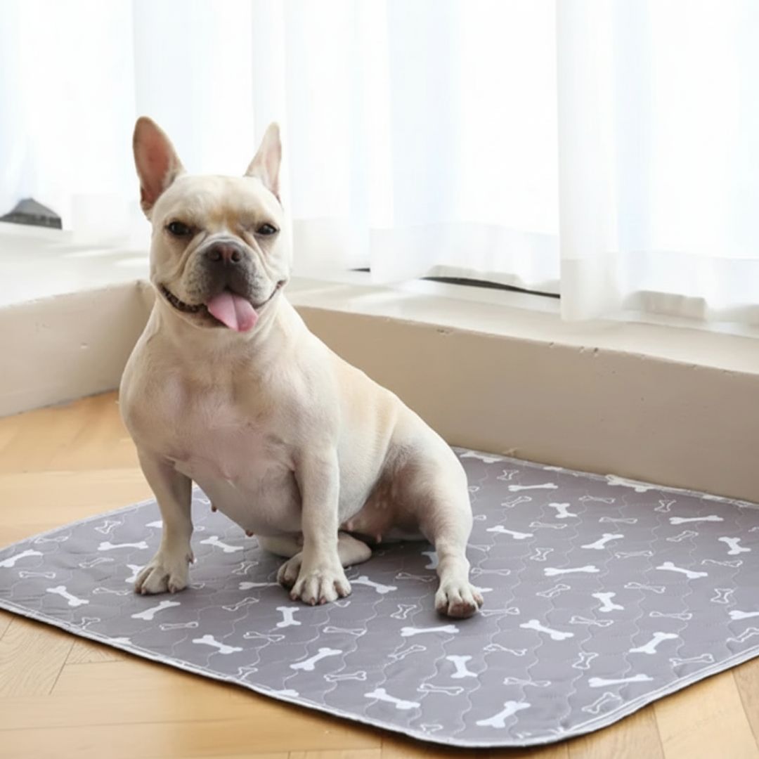 DryPad - Speed Up House Training