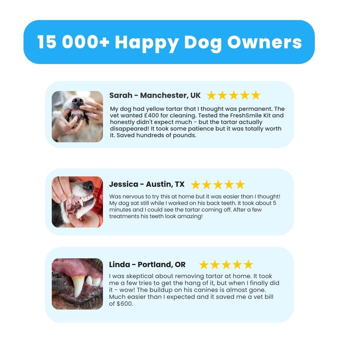 FreshSmile 3 in 1 Kit - Safe Tartar Remover