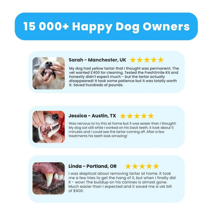 FreshSmile 3 in 1 Kit - Safe Tartar Remover