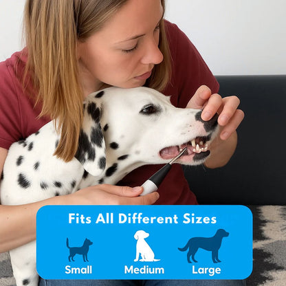 Freshsmile Kit - Safe Dental Care From Home