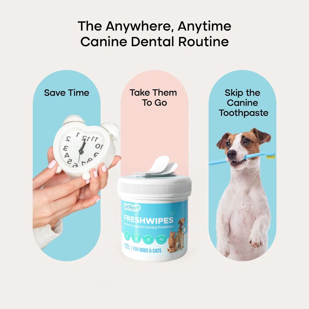 FreshWipes Kit – Protects Against Dental Diseases