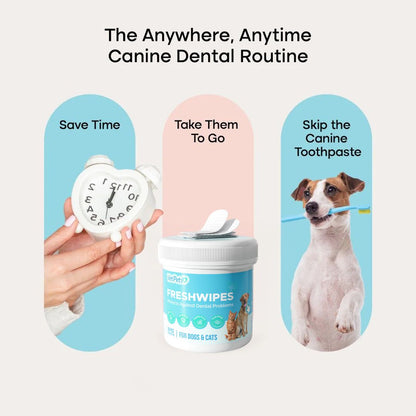 FreshWipes Kit – Protects Against Dental Diseases