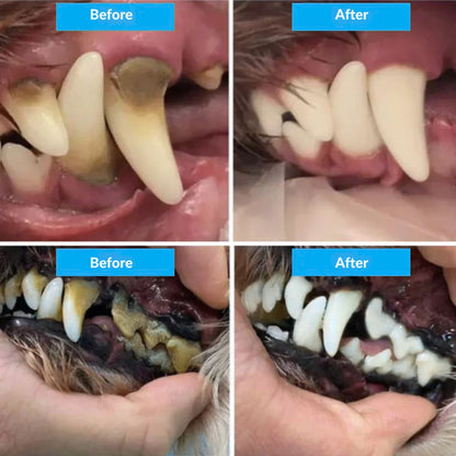 Freshsmile Kit - Safe Dental Care From Home