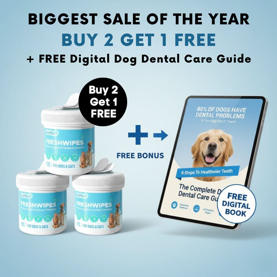 FreshWipes Kit – Protege contra las enfermedades dentales