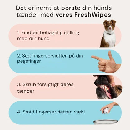 FreshWipe Kit – Beskytter mod tandproblemer
