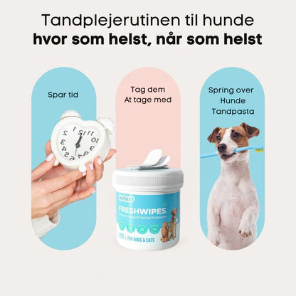 FreshWipe Kit – Beskytter mod tandproblemer