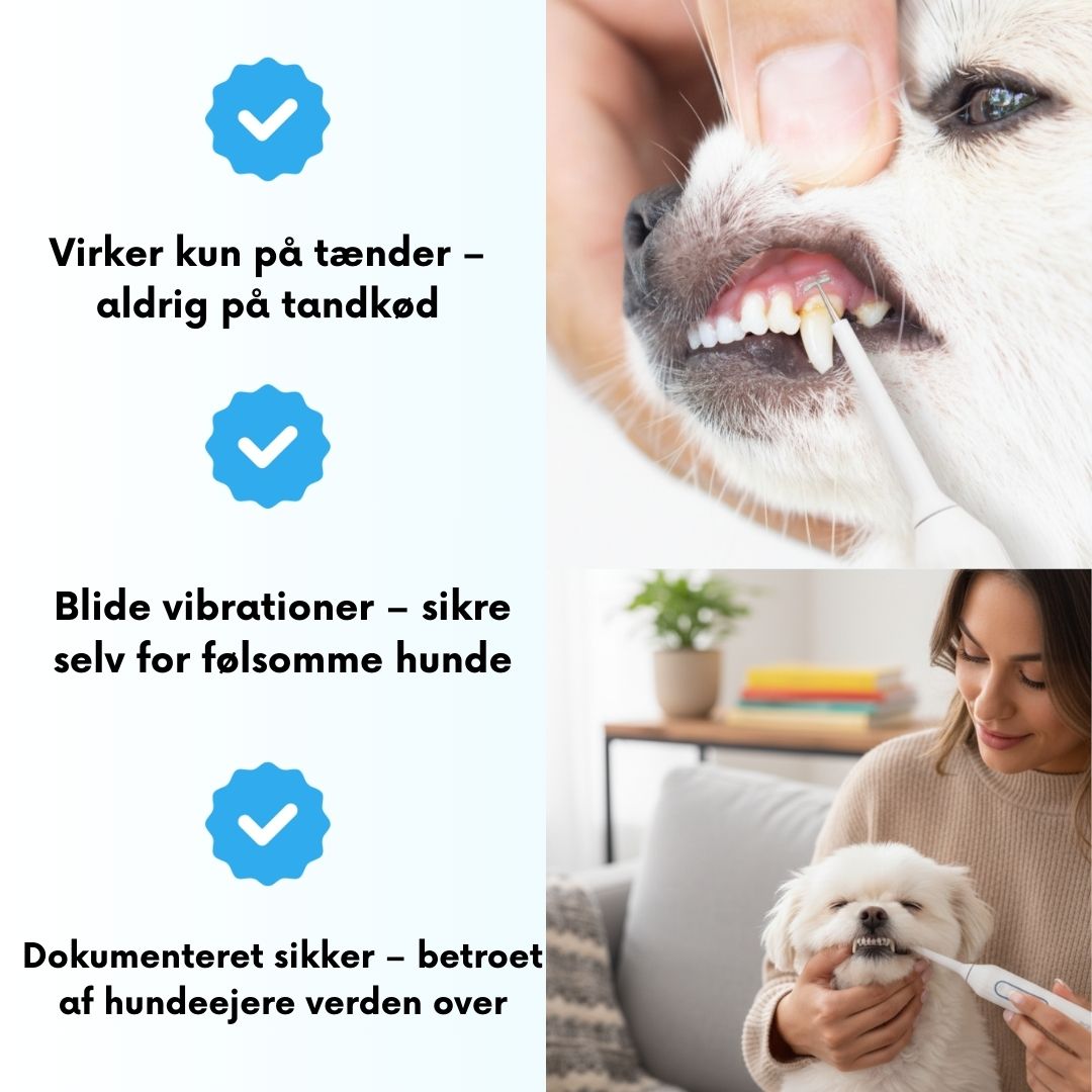 Freshsmile Kit – Tryg Tandpleje Hjemmefra
