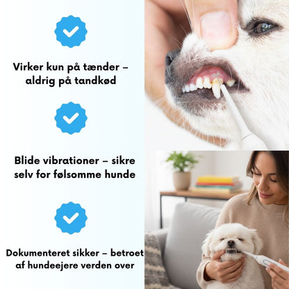 Freshsmile Kit – Tryg Tandpleje Hjemmefra