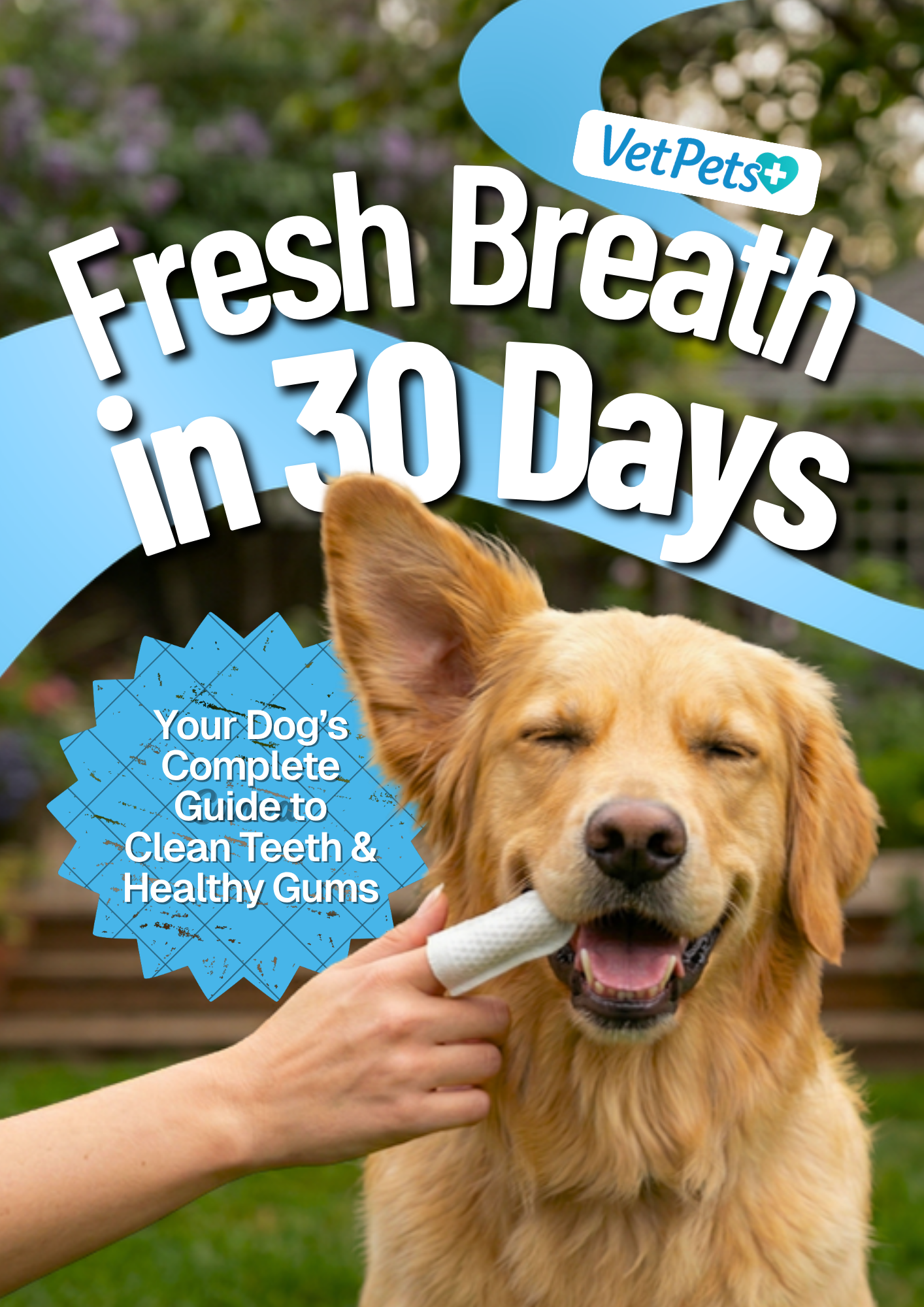Fresh Breath in 30 Days ebook cover