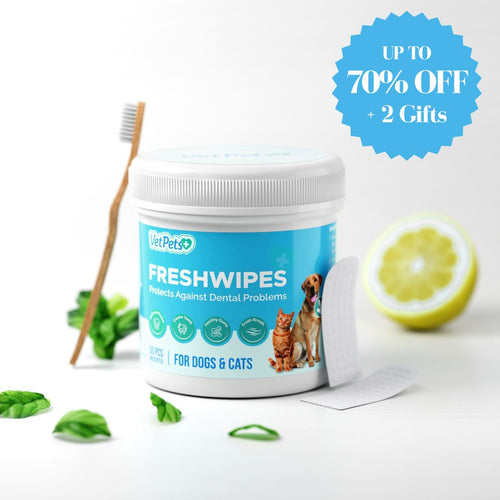 FreshWipe Kit Cats - Protects Against Dental Problems