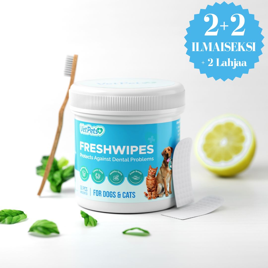 FreshWipes Kit – Suojaa hammassairauksilta