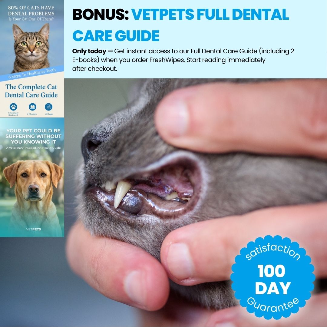 FreshWipe Kit Cats - Protects Against Dental Problems