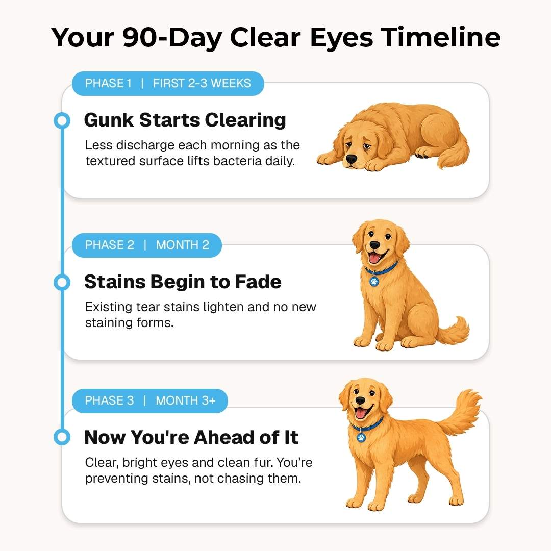 EyeWipes Kit – Prevention That Keeps Eyes Clear