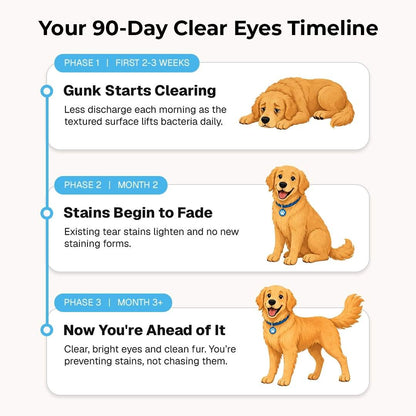 EyeWipes Kit – Prevention That Keeps Eyes Clear