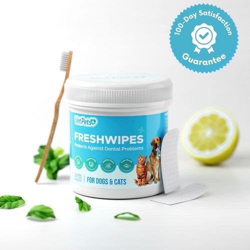 FreshWipe Kit Cats - Protects Against Dental Problems