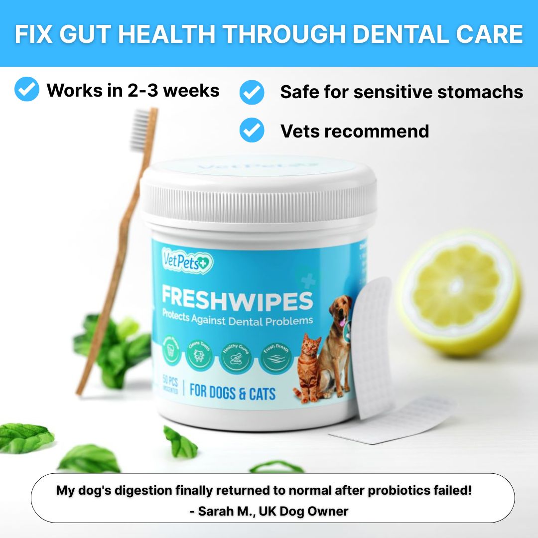 FreshWipes Kit – Supports Healthy Digestion