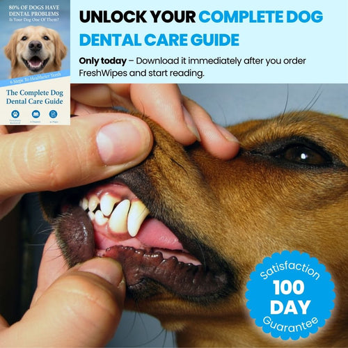 E-BOOK: The Complete Dog Dental Care Guide