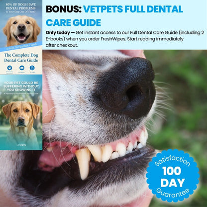 FreshWipes Kit – Protects Against Dental Diseases