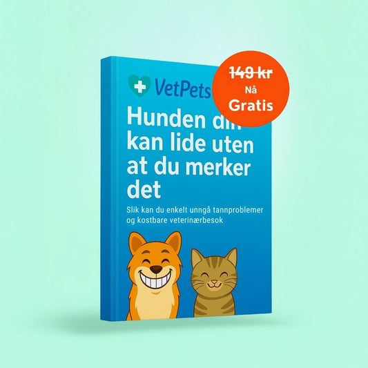 E-bok: Hunden din kan lide uten at du merker det