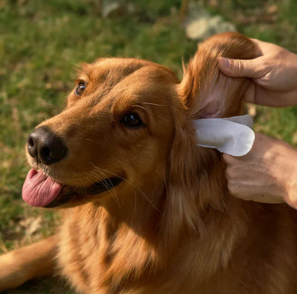 EarWipes Kit - Protects against ear problems.
