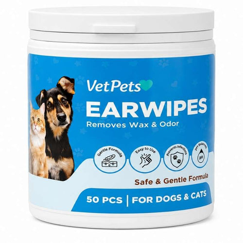 EarWipes Kit