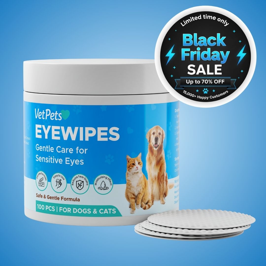 EyeWipes Kit – 100  Wipes
