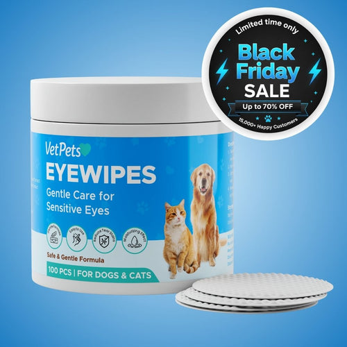 Kit EyeWipes – Protege contra problemas oculares.