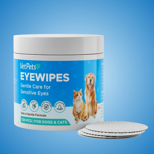 EyeWipes Kit – 100  Wipes