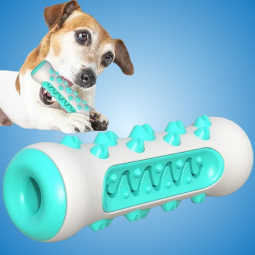 BrightBite - Your Dog's Own Toothbrush