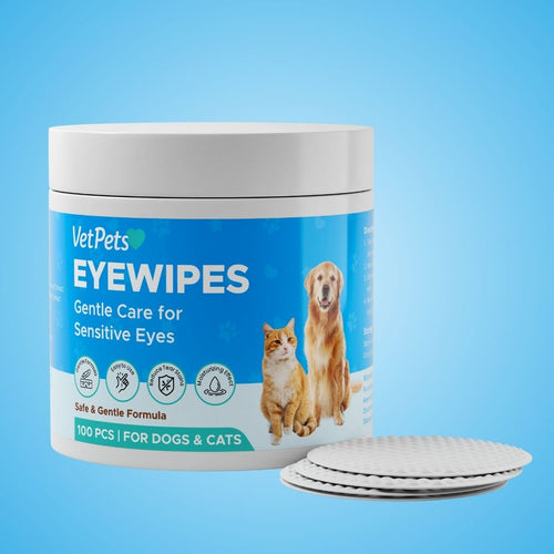 Kit EyeWipes – Protege contra problemas oculares.