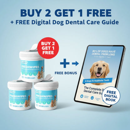 FreshWipe Kit Cats - Protects Against Dental Problems