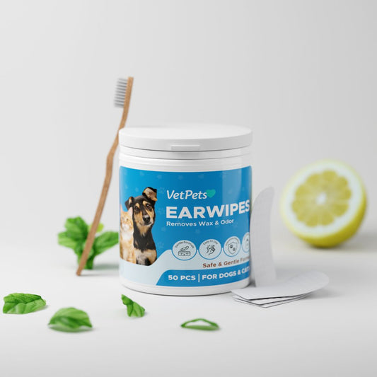EarWipes Kit - Protects against ear problems.