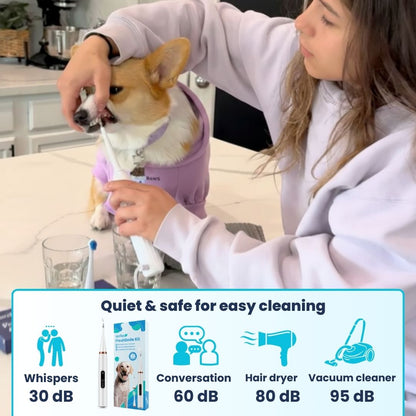 Freshsmile Kit - Safe Dental Care From Home
