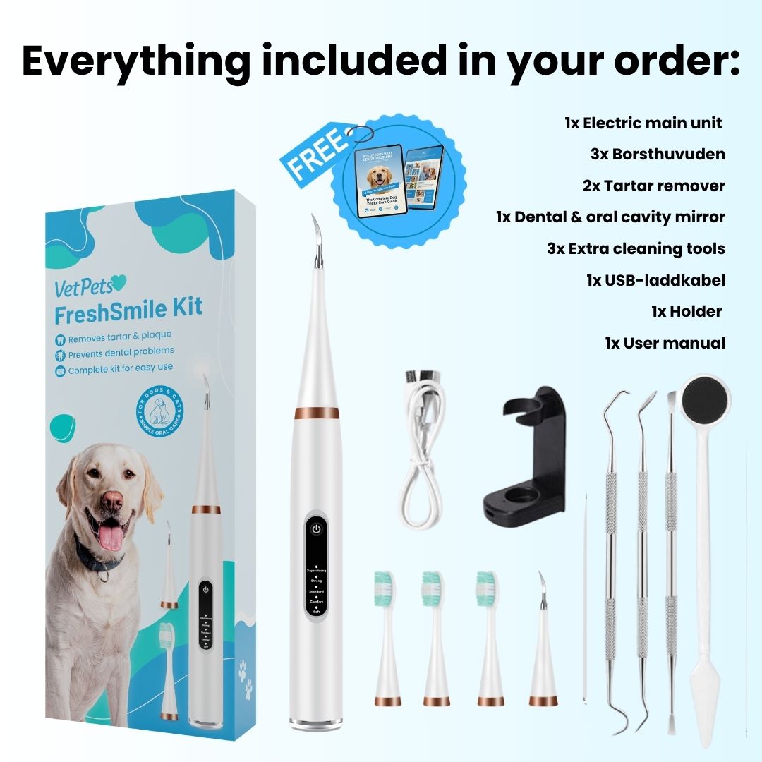 FreshSmile 3 in 1 Kit - Safe Tartar Remover