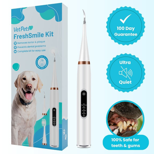 Freshsmile Kit - Safe Dental Care From Home