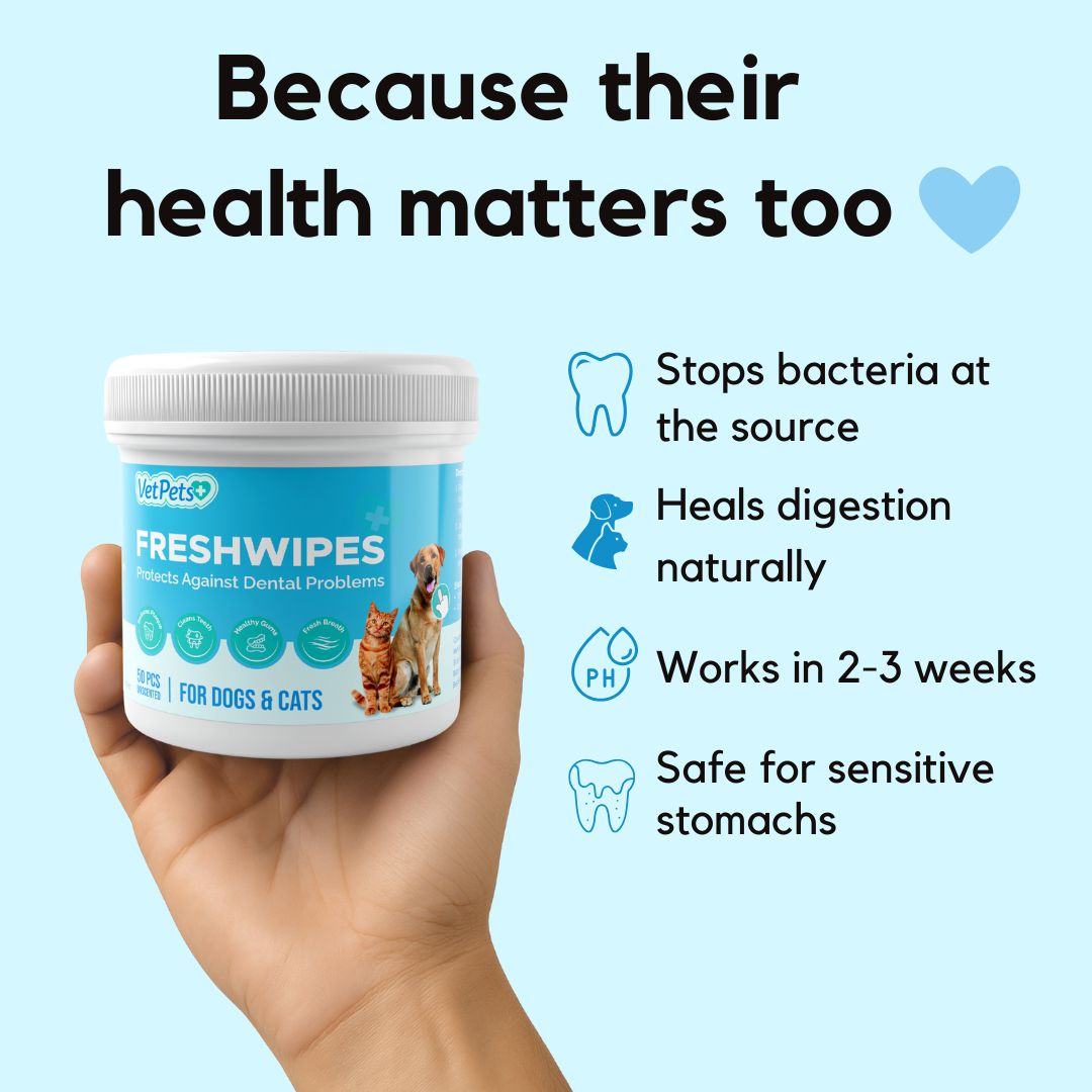 FreshWipes Kit – Supports Healthy Digestion