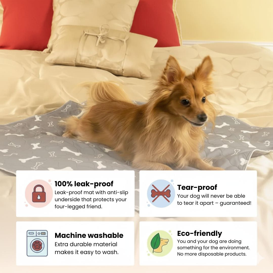 DryPad - Speed Up House Training