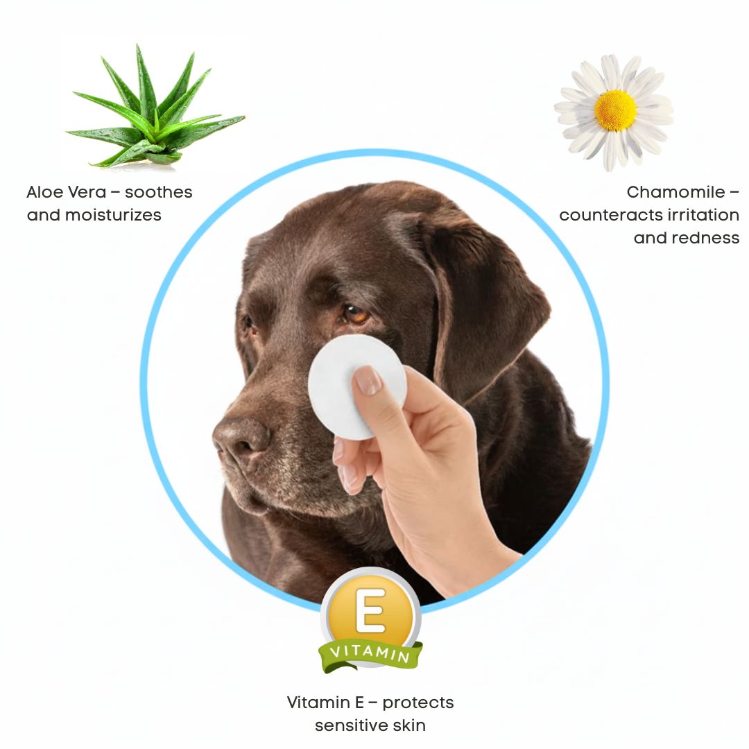 Kit EyeWipes – Protege contra problemas oculares.