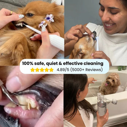 Freshsmile Kit - Safe Dental Care From Home
