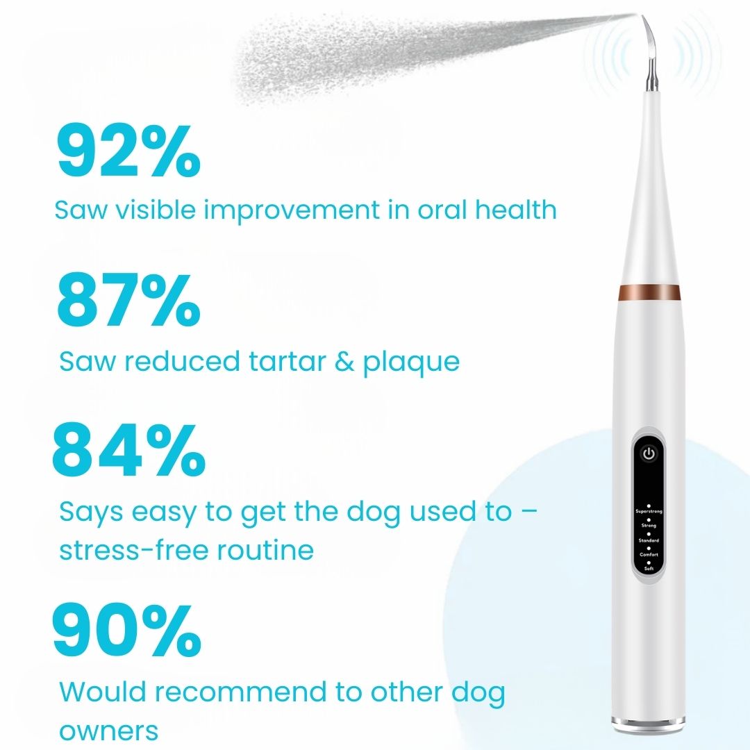Freshsmile Kit - Safe Dental Care From Home