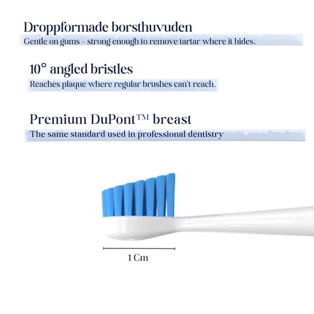 Freshsmile Kit - Safe Dental Care From Home